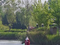 -泗洪洪泽湖湿地景区