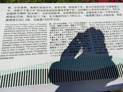 -新安江山水画廊风景区