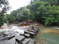 -广州白江湖森林公园