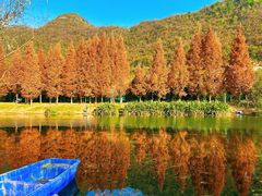 -贵阳市花溪国家城市湿地公园