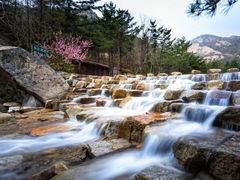-无染寺