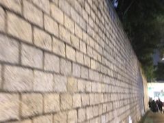 -九龙公园