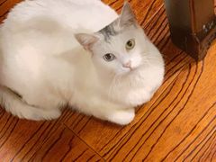 -张记牛肉面馆(天津路店)