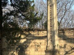 -灵谷景区
