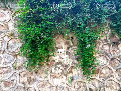 -王借岗森林公园