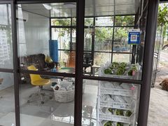 -马陆小张葡萄园农家乐