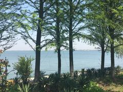 -上海滴水湖皇冠假日酒店