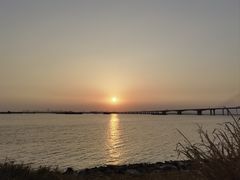 -芒洲湿地公园