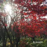适合全家出游的公园！[加油]
