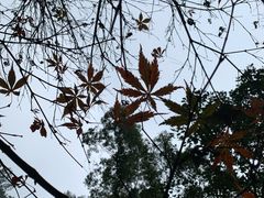 -岳麓山风景名胜区