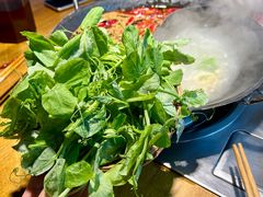 -阳阳老火锅(小南门店)