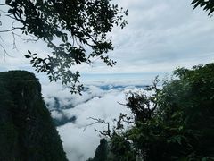 -张家界天门山国家森林公园