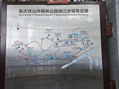 -铁山坪森林公园