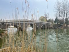 -大兴滨河森林公园