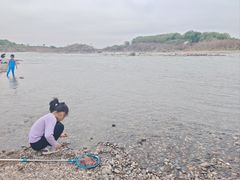 -绿堤公园
