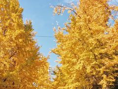 -苏州河梦清园环保主题公园