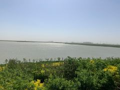 -天津东丽湖风景区