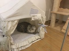 -Double Rui宠物酒店