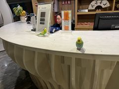 -乐山上善居·养心禅景酒店(世豪广场高铁站店)