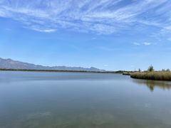 -野鸭湖国家湿地公园