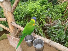 -南宫五洲植物乐园