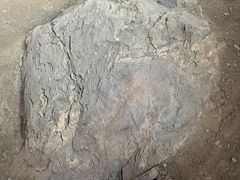 -中国第四纪冰川遗迹陈列馆