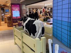 -红星前进面包牛奶公司(君太店)