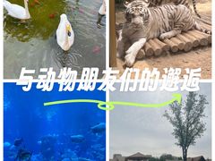 -郑州银基国际旅游度假区