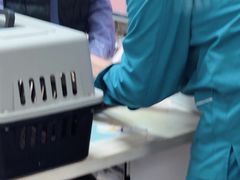 -瑞派宠物医院·24h·骨外科·皮肤科·全科宠物医疗转诊中心(沈阳浑南院)
