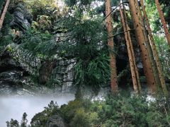 -梭布垭石林景区