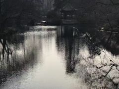 -西湖外事游船(花港观鱼码头)