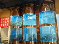 -味力源·肥肠爱上鱼(红牌楼金冠好店)