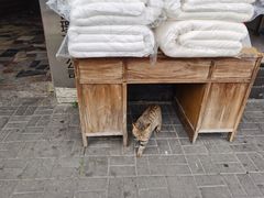 -蒋家肠旺面馆老店(合群路店)