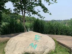 -白鹭湾湿地公园