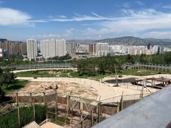 -青藏高原野生动物园