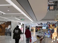-远洋未来汇