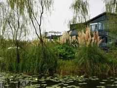 -白鹭湾湿地公园