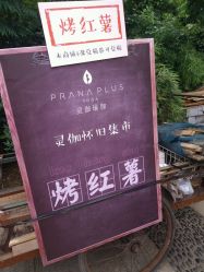 -灵伽瑜伽