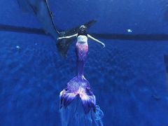 -成都浩海立方海洋公园