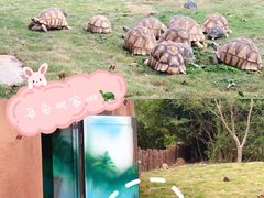-宁波野生动物园