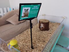 -怪兽屋·羊驼·猫咖·狗咖(俊华广场店)