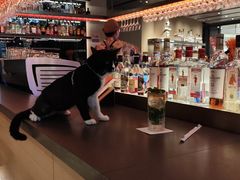 -星巴克臻选(上海合生汇1F店)