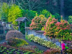 -野三坡清泉山风景区