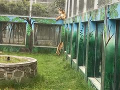 -西安秦岭野生动物园