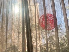 -竹雨堂创意中国菜(裕华店)