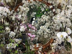 -花二家·生活馆(六运小区店)