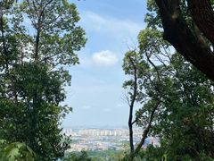 -惠山国家森林公园