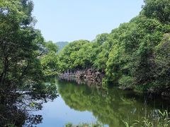 -白马涧龙池景区