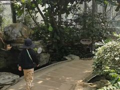 -南山植物园