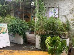 -春树下·树屋花房西餐厅(罍街AS1980店)